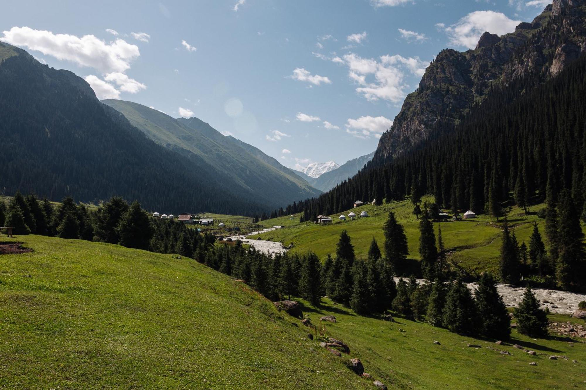 Eco Yurt Camp Arashan Hotell Teploklyuchenka Eksteriør bilde